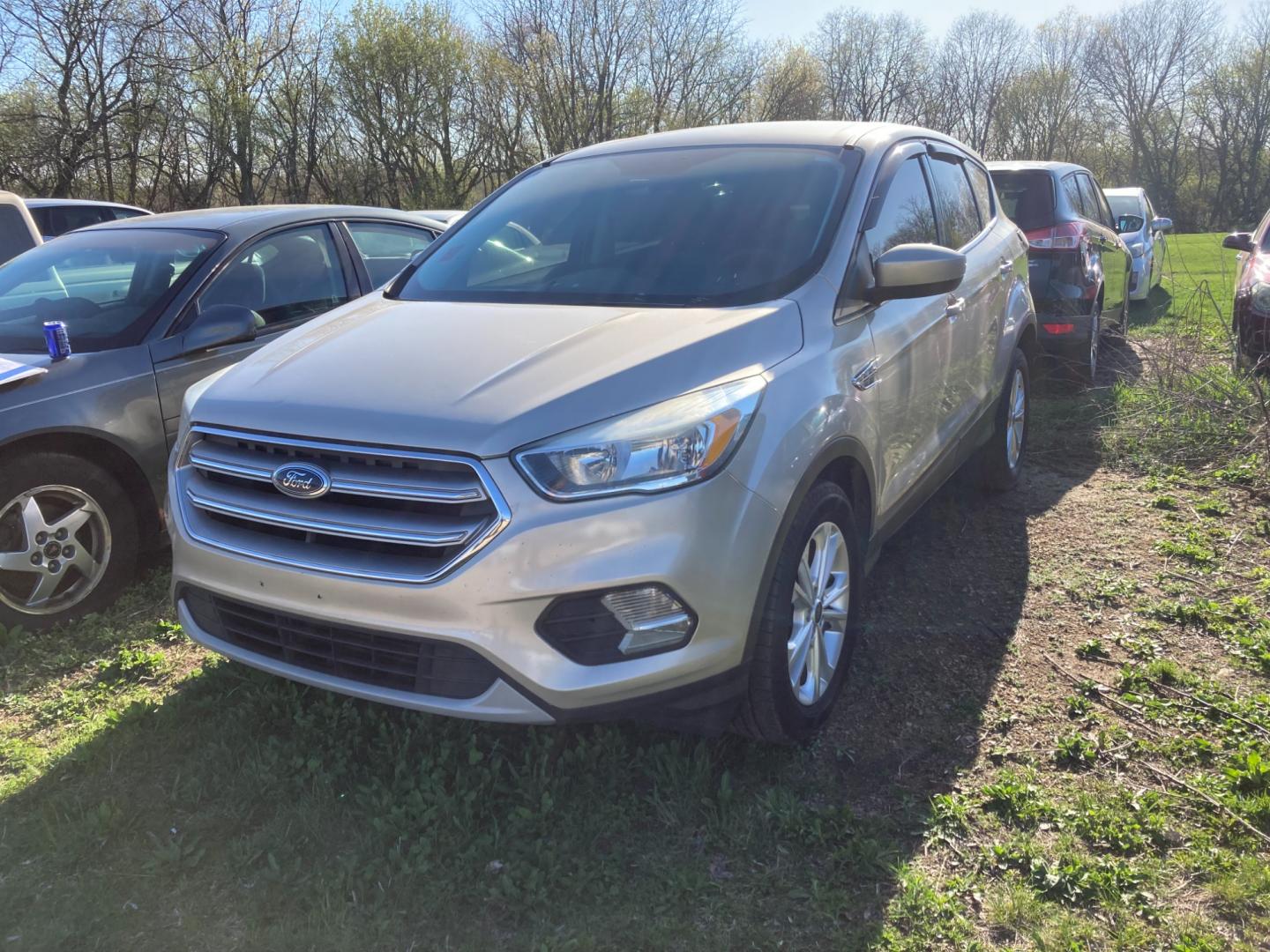 2017 Harvest Gold Met Ford Escape SE FWD (1FMCU0GD7HU) with an 1.5L L4 DOHC 16V engine, 6A transmission, located at 1800 South Ihm Blvd, Freeport, IL, 61032, (815) 232-5543, 42.278645, -89.607994 - Escape SE 4D SUV FWD - Photo#0